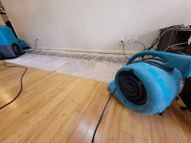 Professional Flood Damage Cleanup technician working in Hyannis, MA